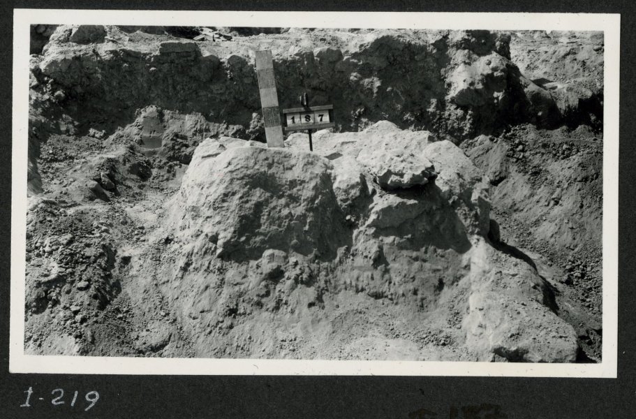 Tumba 187 de la necrópolis del yacimiento de El Cigarralejo antes de ser excavada.