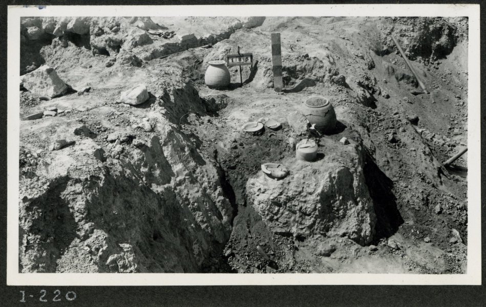 Ajuar funerario correspondiente a la tumba 185 en la necrópolis del yacimiento de El Cigarralejo.