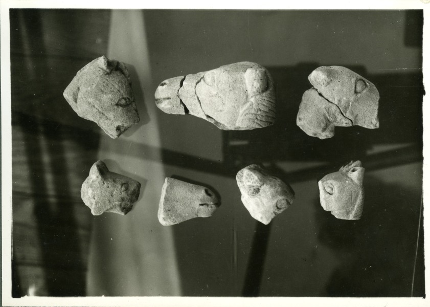 Plano lateral de fragmentos de cabezas sin bridas hallados en el Santuario de El Cigarralejo (exvotos nº 140 a 146).