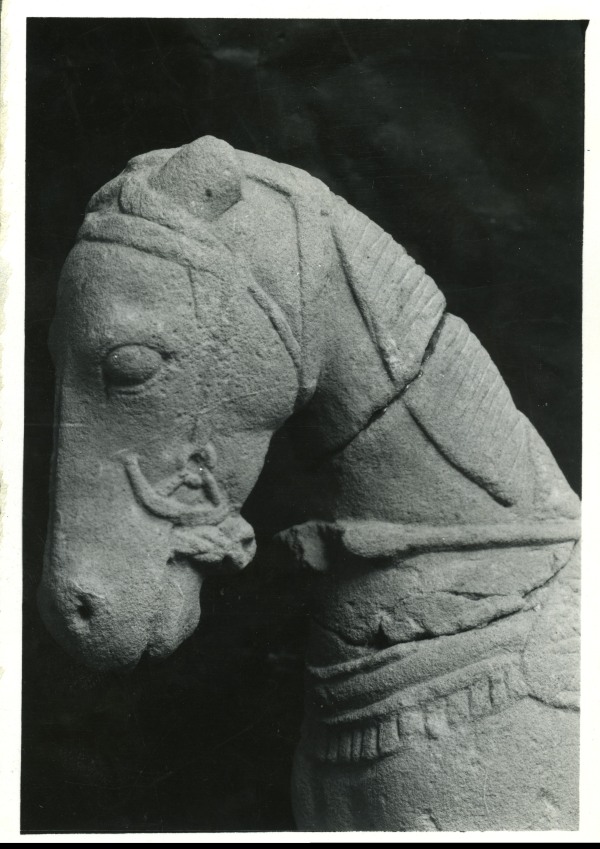 Detalle de una escultura de caballo con montura y brida hallada en el Santuario de El Cigarralejo (exvoto nº 19).