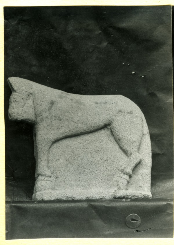 Vista lateral de escultura de un caballo sin atalajes en altorrelieve hallada en el Santuario de El Cigarralejo (exvoto nº 34).