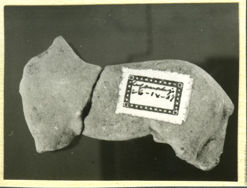 Fragmento de escultura de caballo sin atalajes hallado en el Santuario de El Cigarralejo (exvoto nº 50).