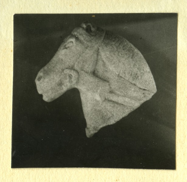 Cabeza de una escultura de caballo con atalajes hallada en el Santuario de El Cigarralejo (exvoto nº 162).