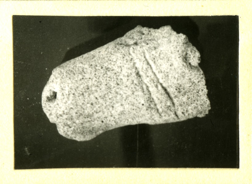 Cabeza de escultura de caballo con brida hallada en el Santuario de El Cigarralejo (exvoto nº 187).
