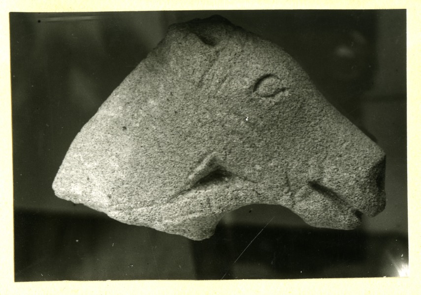 Cabeza de escultura de caballo con brida hallada en el Santuario de El Cigarralejo (exvoto nº 189).