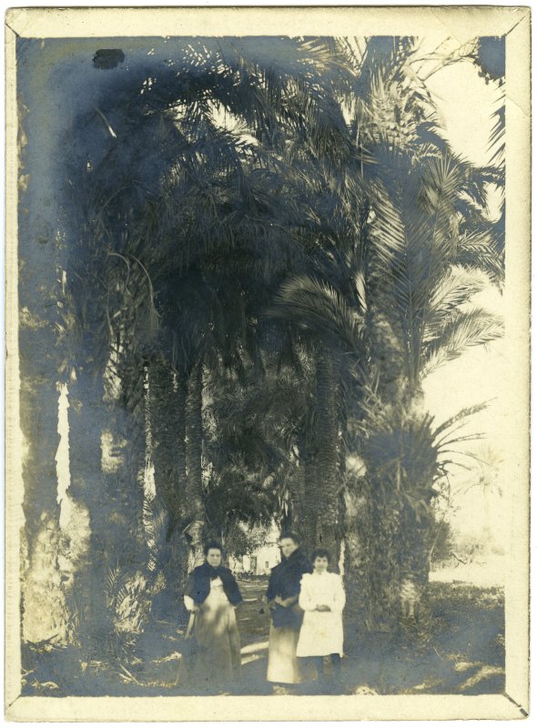 Dos mujeres y una niña en un jardín con palmeras