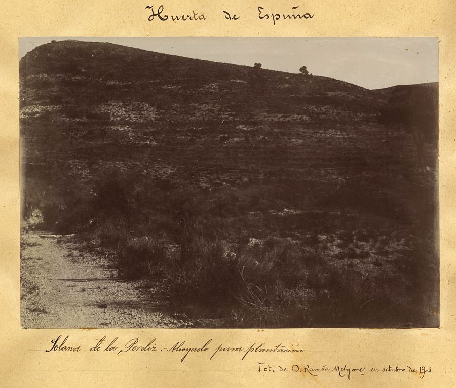 Terreno de la Solana de la Perdiz, en Sierra Espuña, ahoyado para su plantación