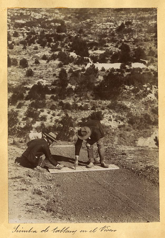 Dos operarios realizando una siembra de tablares en uno de los viveros forestales de Sierra Espuña