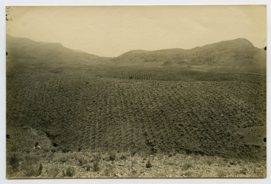 Vista del terreno ahoyado para su repoblación en la zona de la Tenganera, en las Alquerías de Sierra Espuña