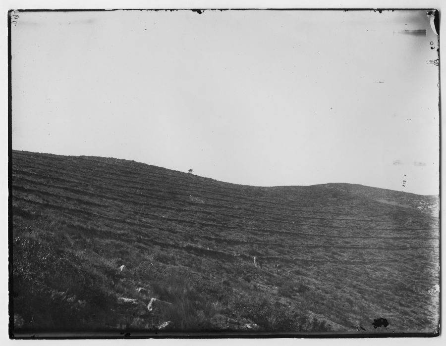 Vista de una ladera corregida para su repoblación en Sierra Espuña