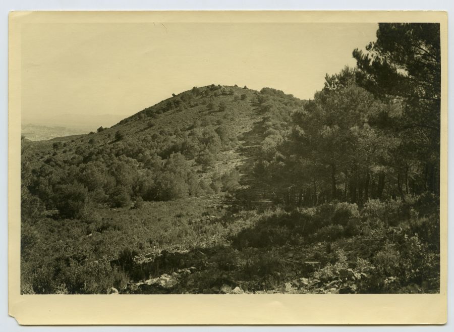 Vista de un paraje de Sierra Espuña, probablemente Huerta Espuña