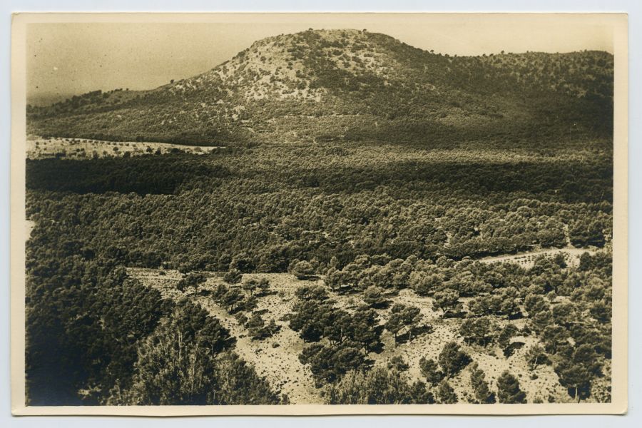 Vista del paraje de la Tenganera en Sierra Espuña