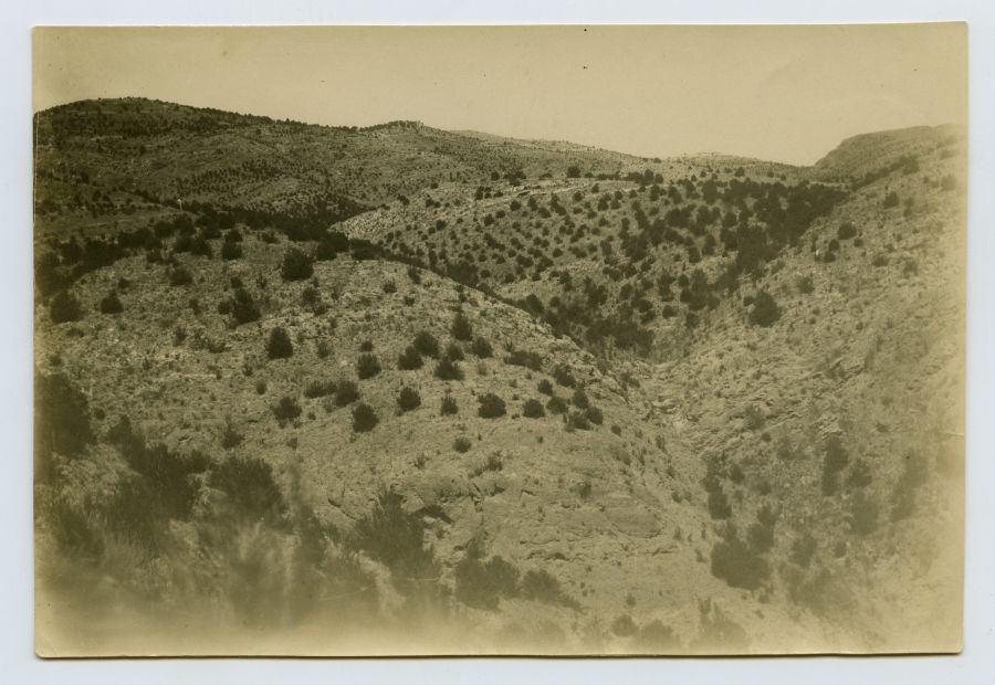 Repoblación de los montes de El Castellar y Los Hermanillos, en Librilla
