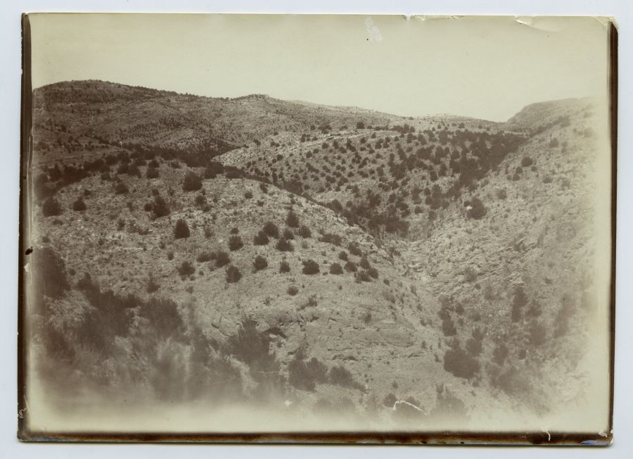 Repoblación de los montes de El Castellar y Los Hermanillos, en Librilla