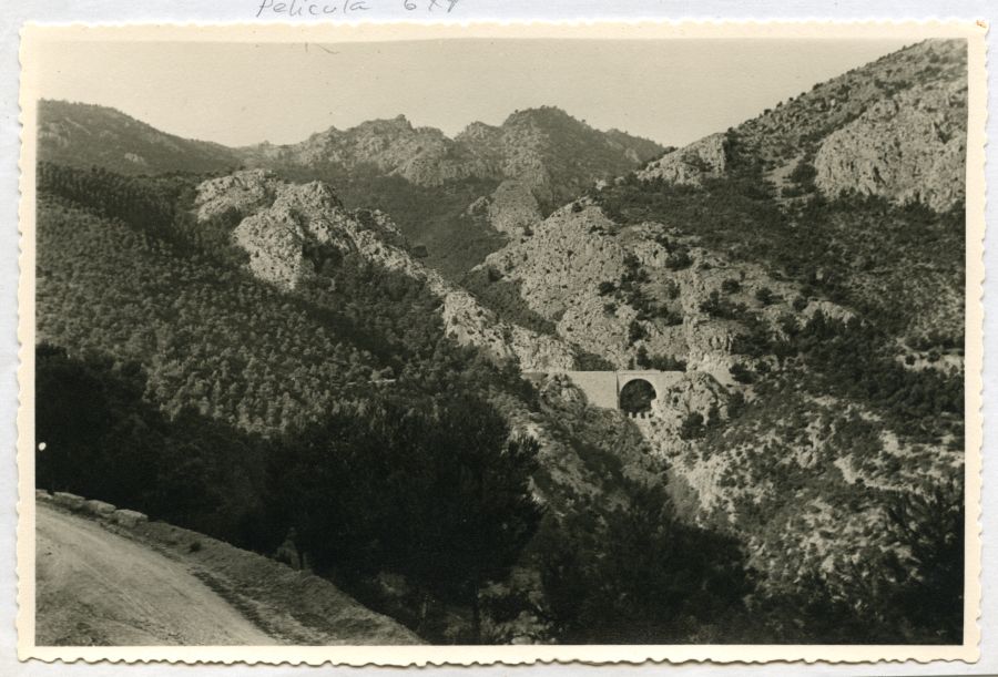 Vista del barranco de Reconque y el puente del saltador de Marín en la Sierra de Ricote después de su repoblación