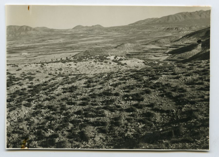 Vista de un terreno con matorrales en el paraje de Cañada Hermosa