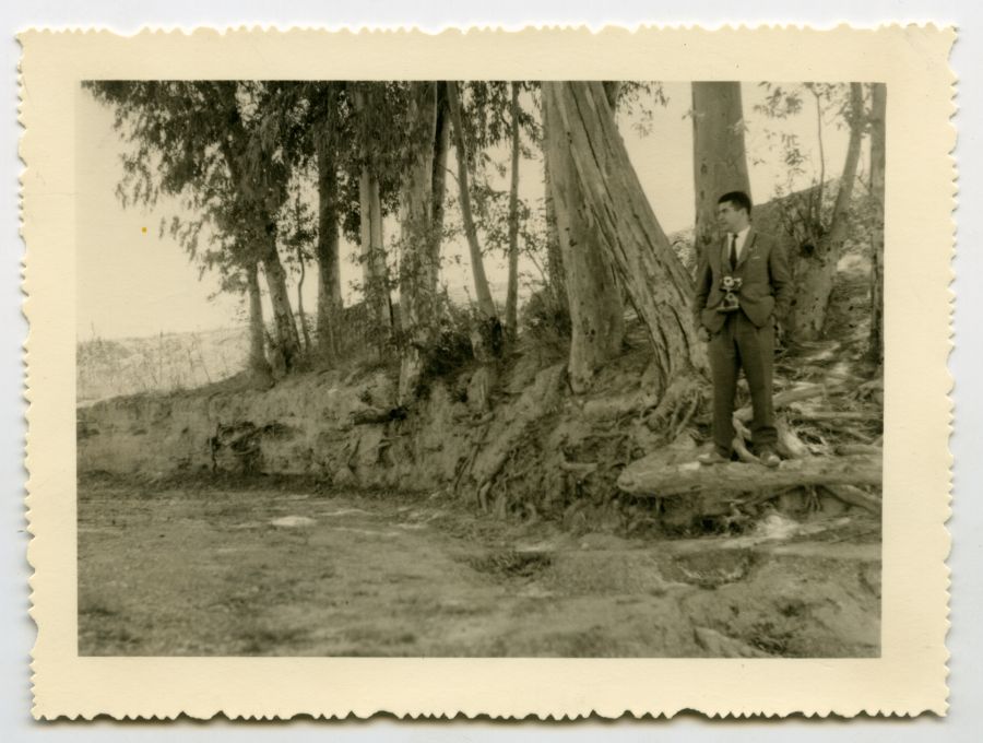 Vista de un grupo de árboles en el borde del cauce de una rambla o río