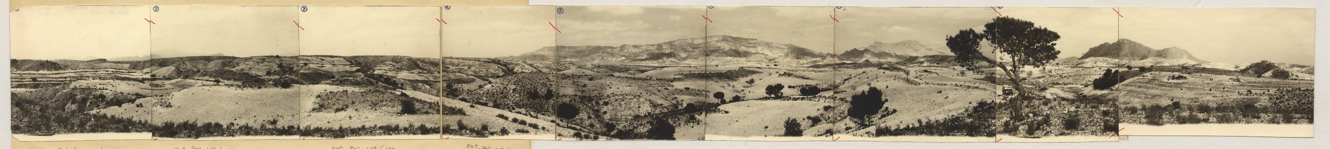 Reportaje fotográfico sobre el paraje de la Loma Gea, en el término municipal de Molina de Segura
