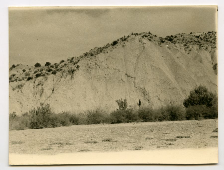 Vista de una ladera erosionada con cárcavas en el paraje de la Loma Gea