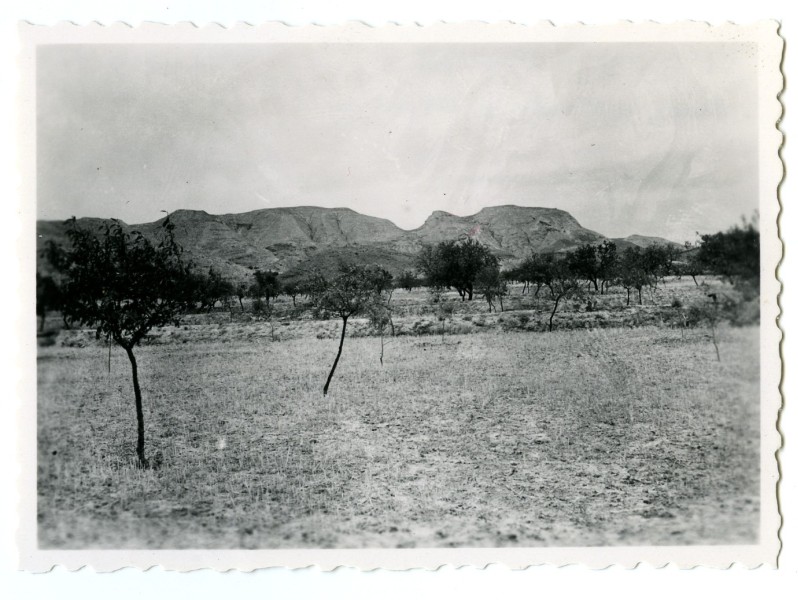 Vista del área del yacimiento íbero del Castellar (Librilla)