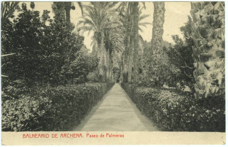 Balneario de Archena. Paseo de Palmeras.