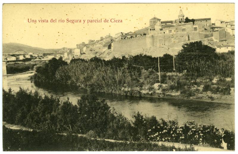 Vista del río Segura y parcial de Cieza. 