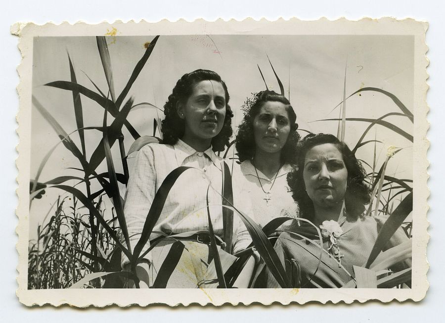María Saura posa con dos amigas en un cañaveral.