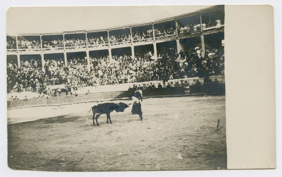 Un joven intenta un paso con capote a un novillo en la antigua plaza de toros de Jumilla