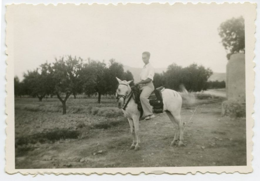 Juan Antonio Molina a caballo junto a una plantación de olivos
