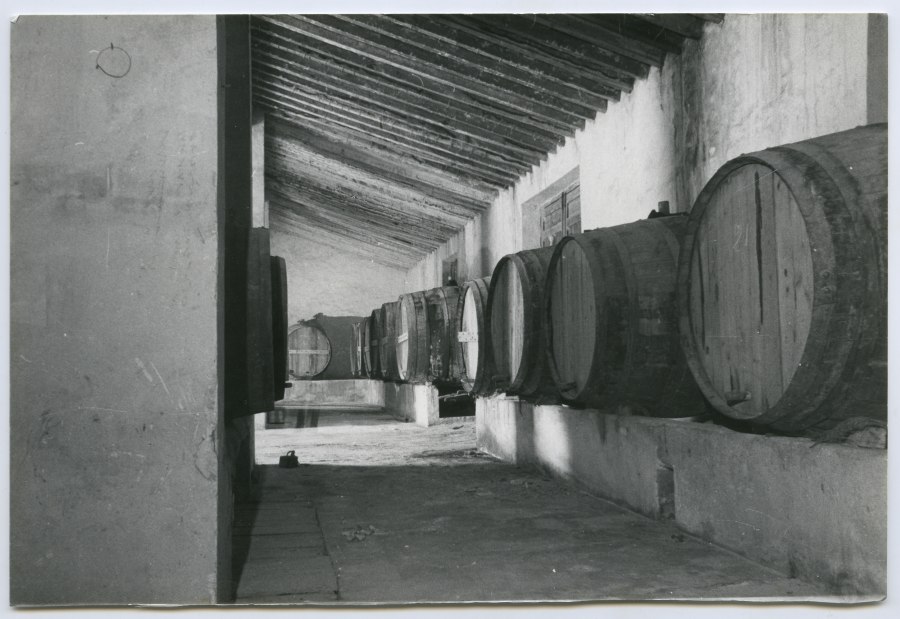 Interior de una sala de barricas de la antigua Bodega Luzón, propiedad de Amparo Molina, en la Hoya de la Carrasca (Jumilla)