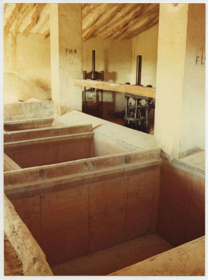 Cubetas y prensas en una sala de barricas de la antigua Bodega Luzón, propiedad de Amparo Molina, en la Hoya de la Carrasca (Jumilla)