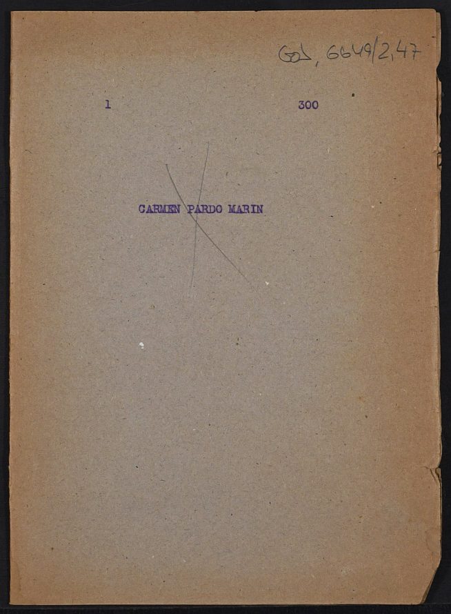 Haz click para mostrar el visor de imgenes