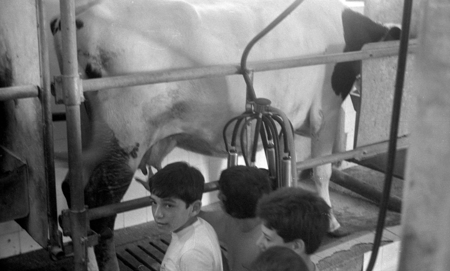 Haz click para mostrar el visor de imgenes