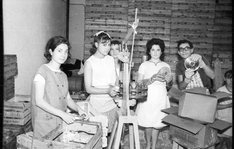 Haz click para mostrar el visor de imgenes