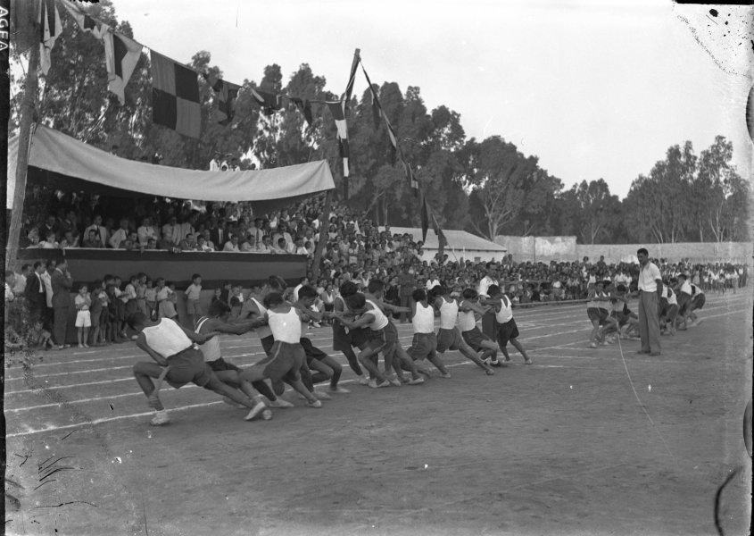 Haz click para mostrar el visor de imgenes