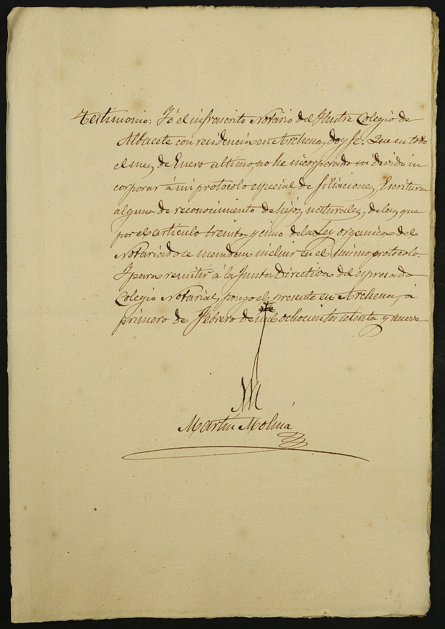 Índices del notario de Archena Martin Molina Valero del año 1879.