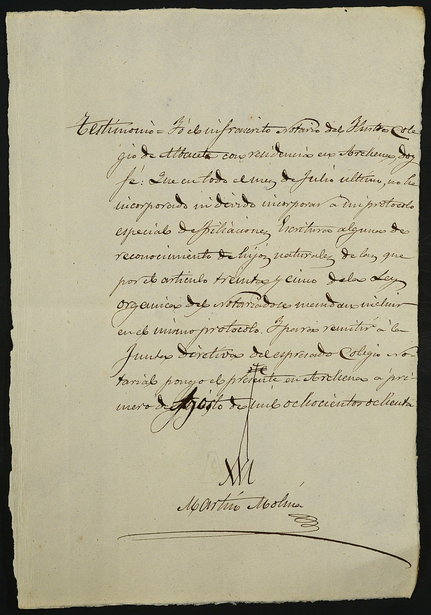 Índices del notario de Archena Martin Molina Valero del año 1880.