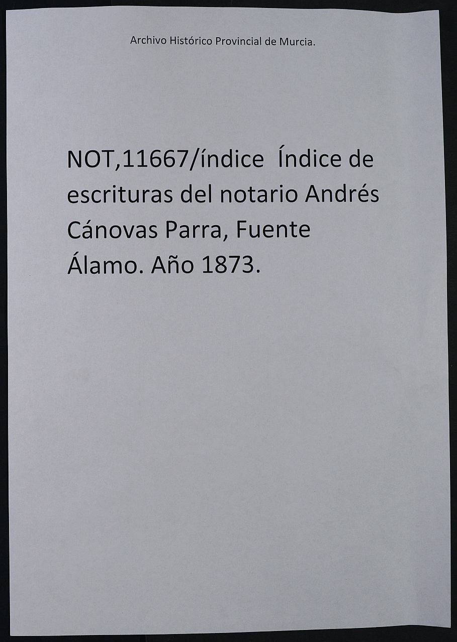 Registro de Andrés Cánovas Parra, Fuente Álamo de 1873.