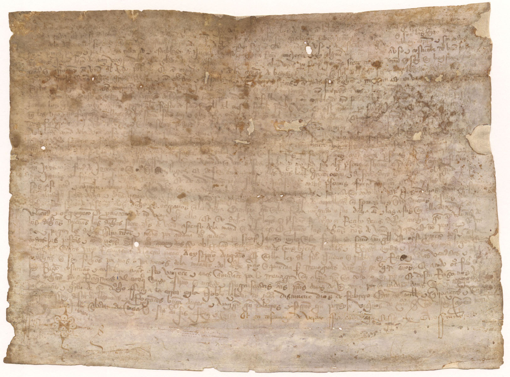 Carta de establecimiento de censo de Catalina García, monja del Monasterio de Santa Clara, a favor de Juan López de Cózar de siete tahúllas de tierra de viña en Benifiar, huerta de Murcia.