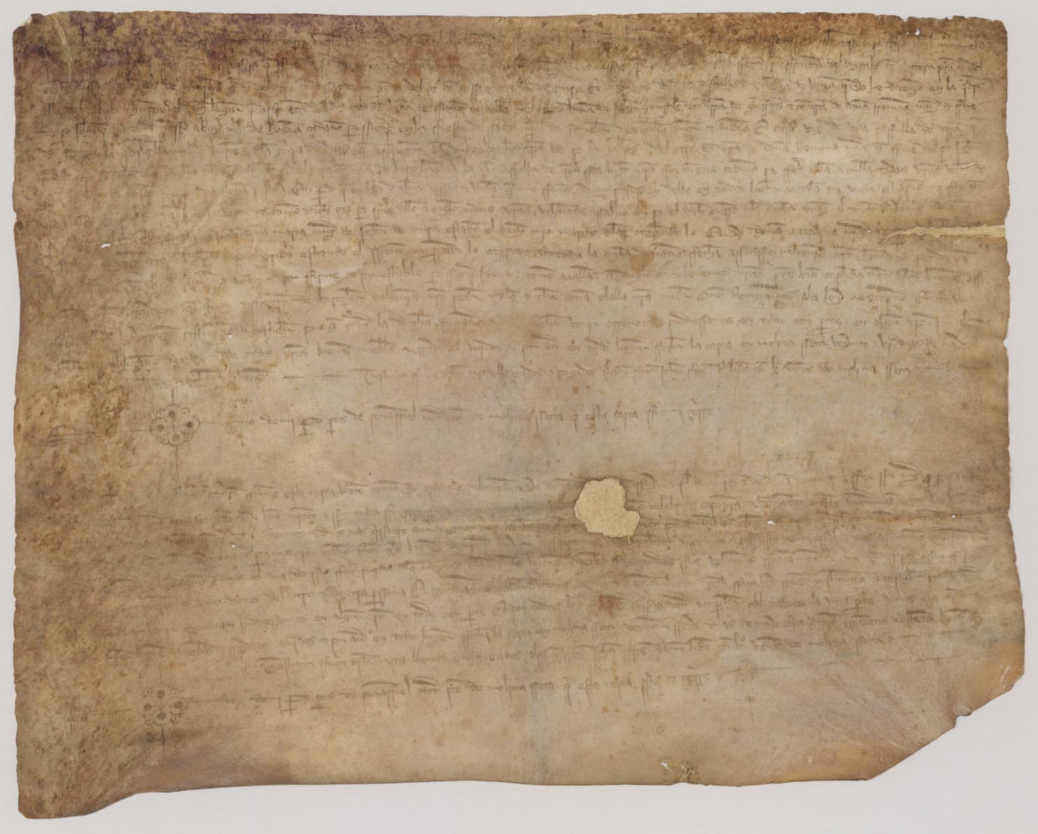 Carta de donación de doña Olalla, viuda de Bartolomé de Alcañiz, a favor de su hijo Asensio de unas casas y tierras en Molina Seca.
