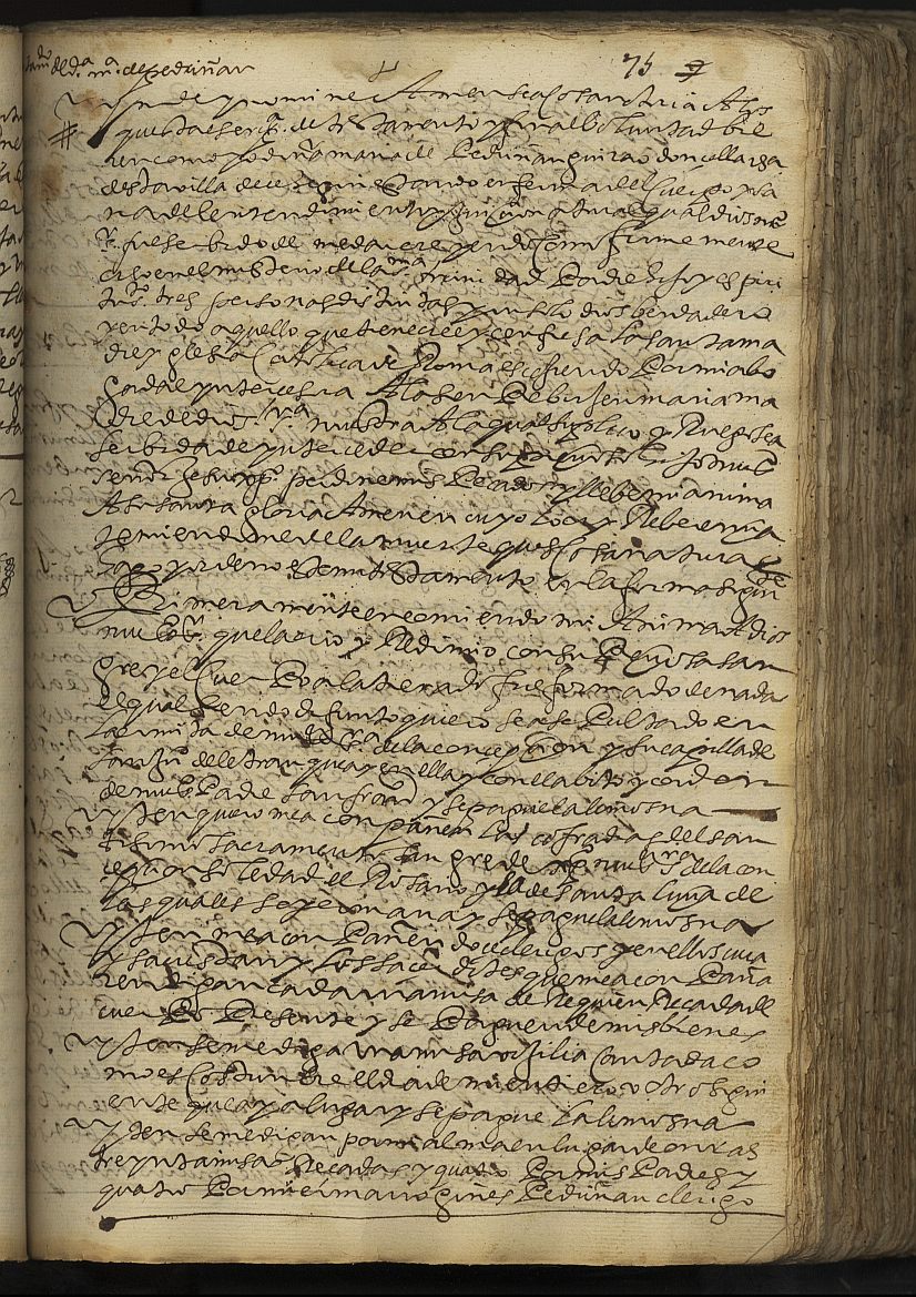 Testamento de María Pedriñán Guirao, doncella, vecina de Cehegín.